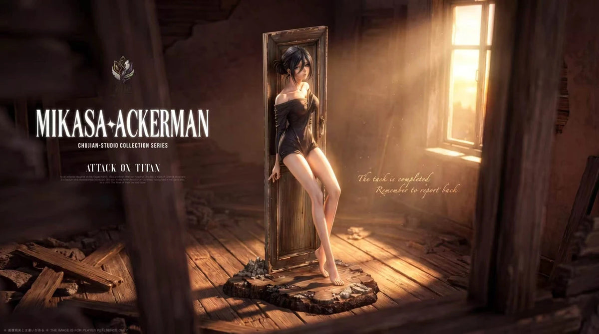 Attack on Titan - Mikasa Ackerman