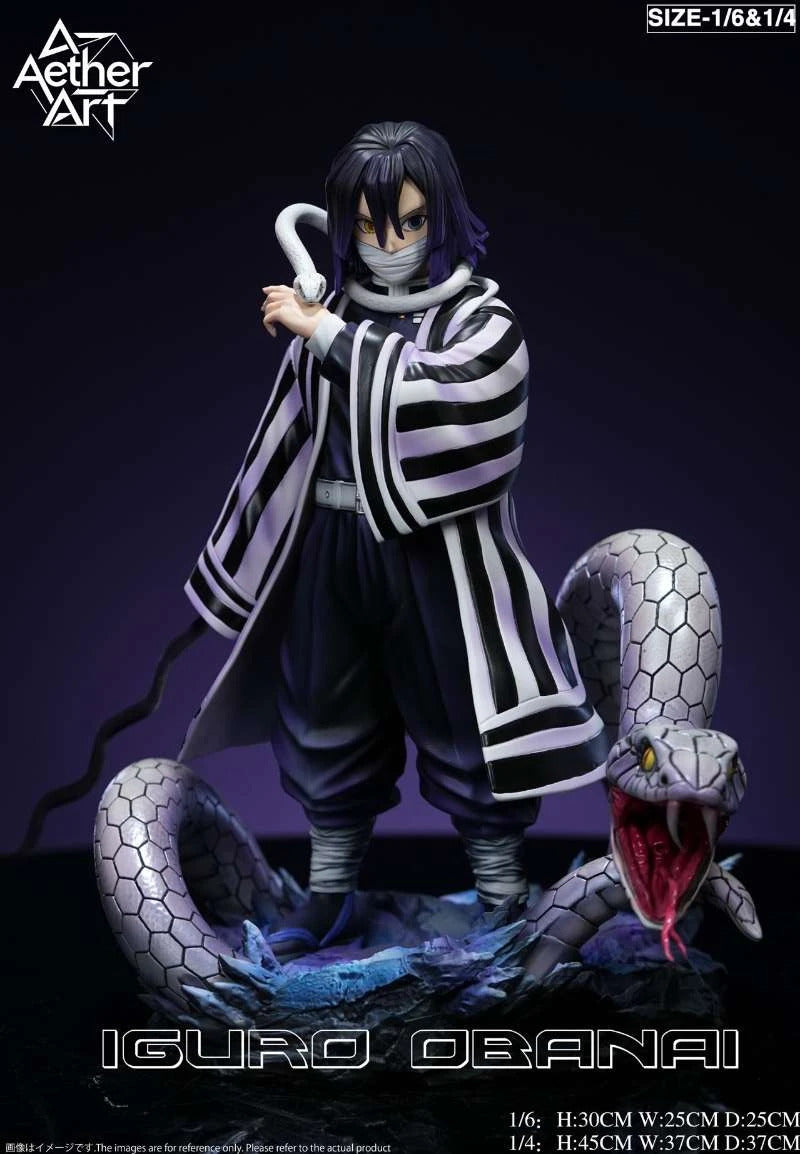 Demon Slayer: Kimetsu no Yaiba - Tomika Giyuu & Iguro Obanai