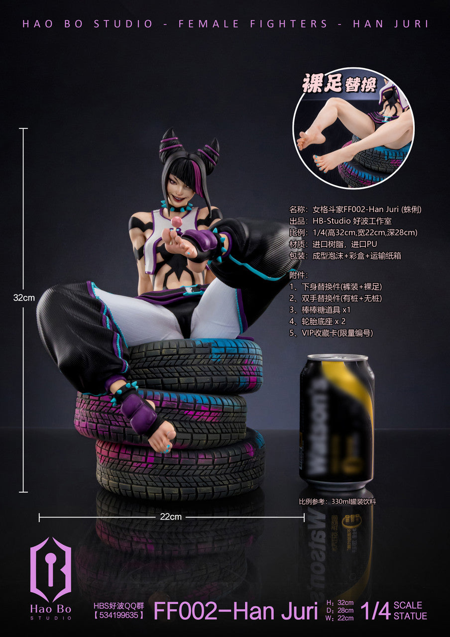 Street Fighter - Han Juri | 1:4 Resin Statue | von Hao Bo Studio