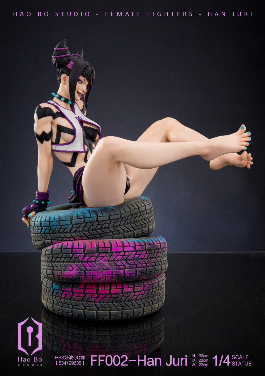 Street Fighter - Han Juri | 1:4 Resin Statue | von Hao Bo Studio