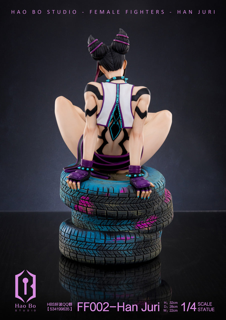 Street Fighter - Han Juri | 1:4 Resin Statue | von Hao Bo Studio