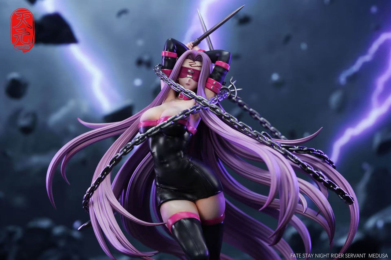 Fate/stay night - Rider | 1:6 Resin Statue | by TY Studio