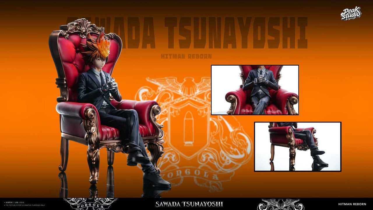 Katekyo Hitman Reborn! - Sawada Tsunayoshi | 1:6 Resin Statue | by Peak Studio