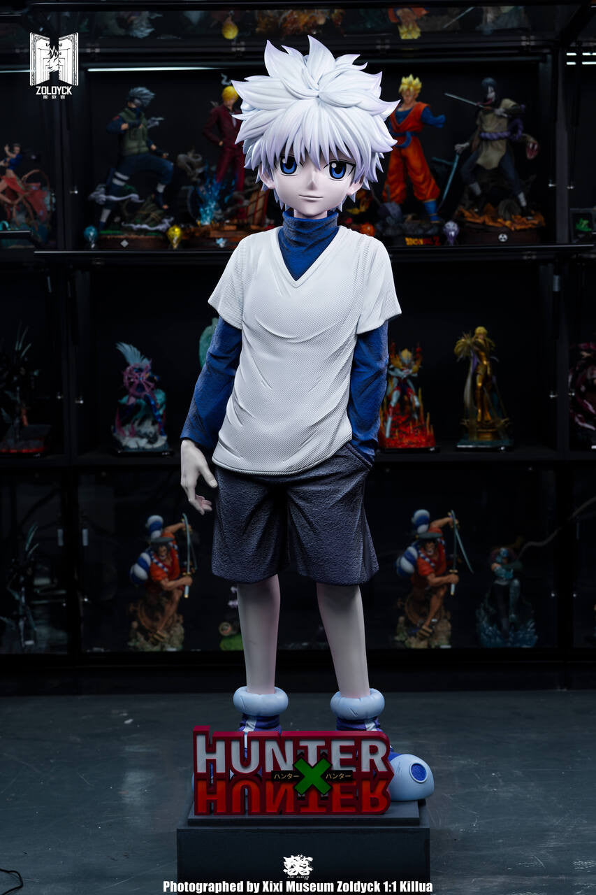 Figurine Hunter X Hunter – Killua Zoldyck 23 Cm – Statue Kirua – Collection Manga Neuve Sous Blister Décor Manga Chambre