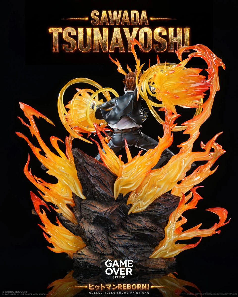 Katekyo Hitman Reborn! - Sawada Tsunayoshi