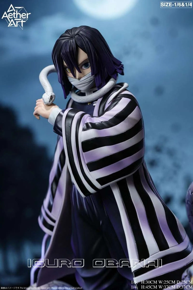 Demon Slayer: Kimetsu no Yaiba - Tomika Giyuu & Iguro Obanai
