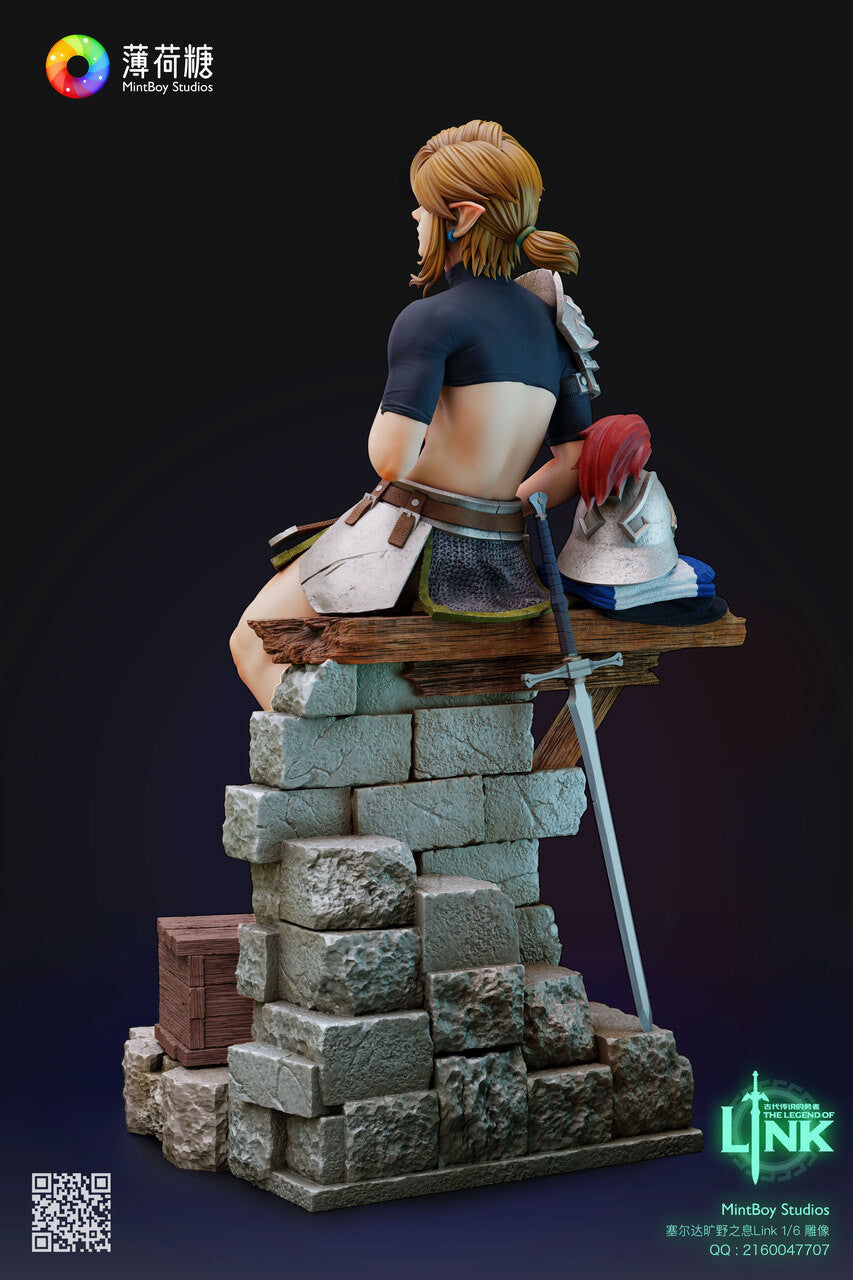 Legend of Zelda - Training Soldier Link | 1:6 Resin Statue | by MintBoy Studio