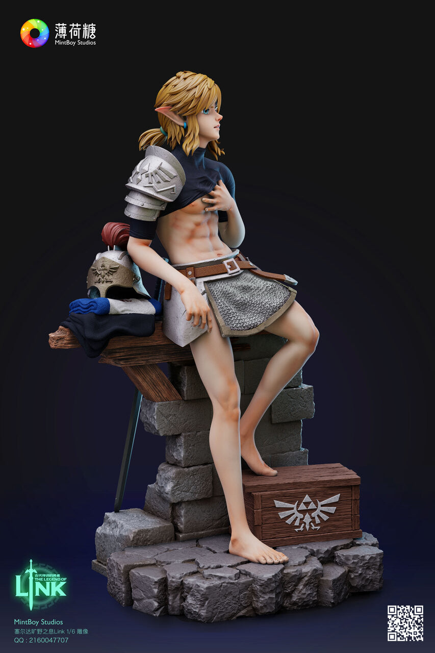 Legend of Zelda - Training Soldier Link | 1:6 Resin Statue | by MintBoy Studio