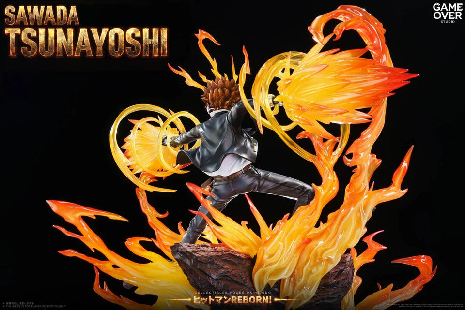 Katekyo Hitman Reborn! - Sawada Tsunayoshi