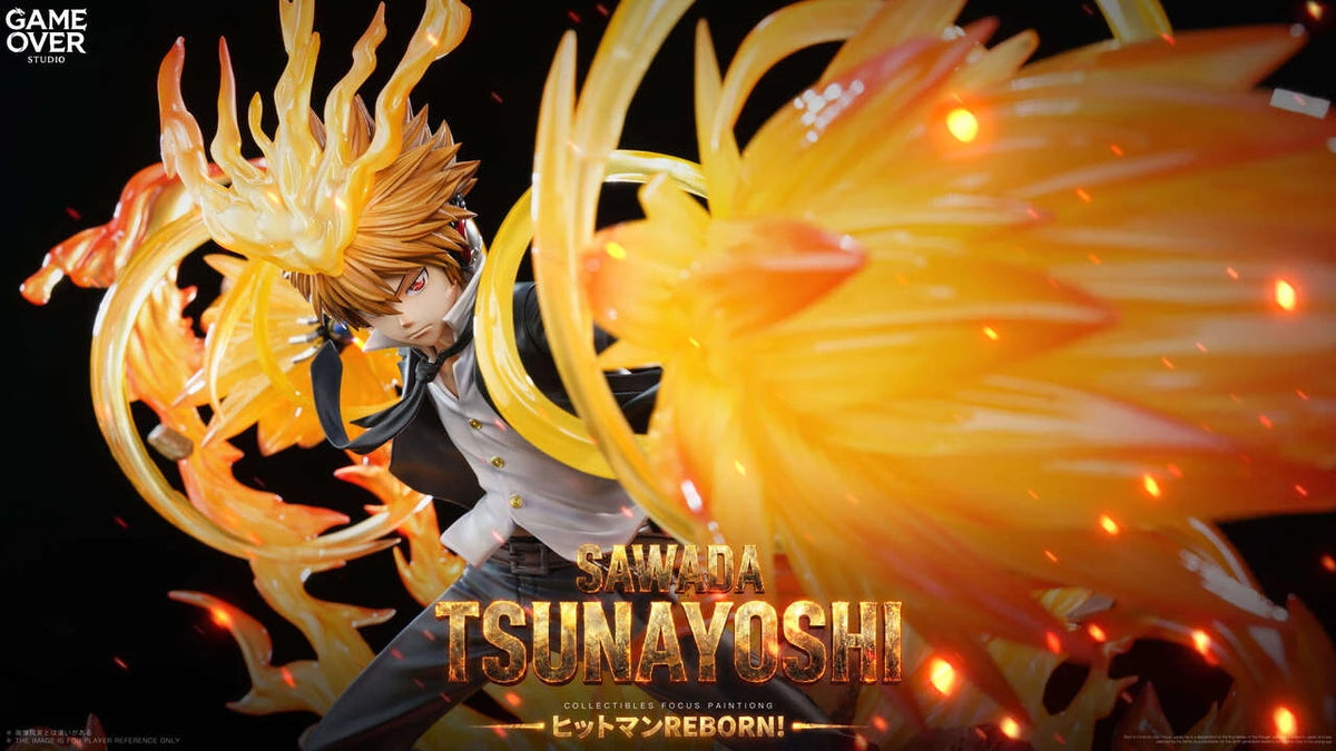 Katekyo Hitman Reborn! - Sawada Tsunayoshi