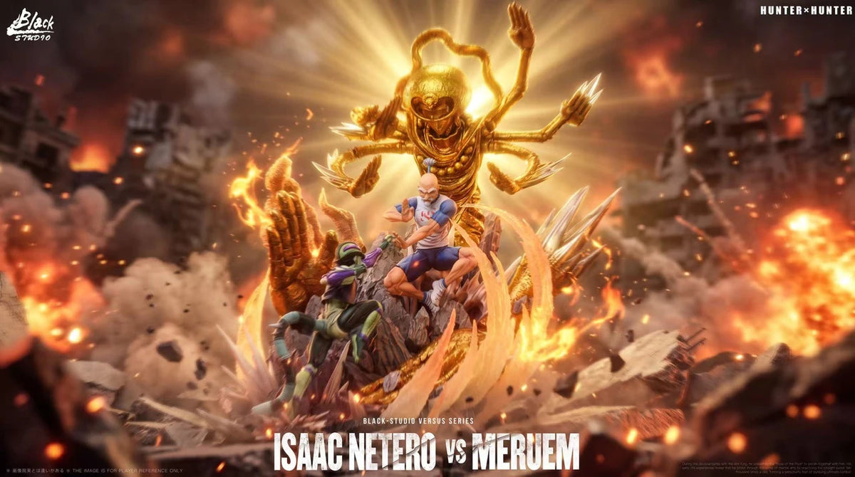 Hunter × Hunter - Isaac Netero vs Meruem