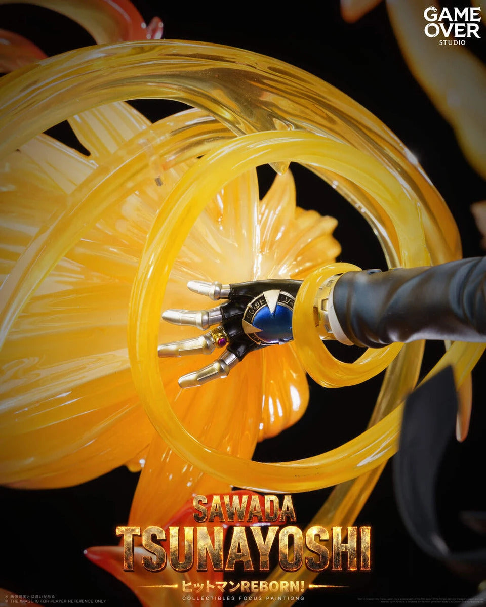 Katekyo Hitman Reborn! - Sawada Tsunayoshi