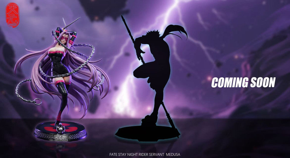 Fate/stay night - Rider | 1:6 Resin Statue | by TY Studio