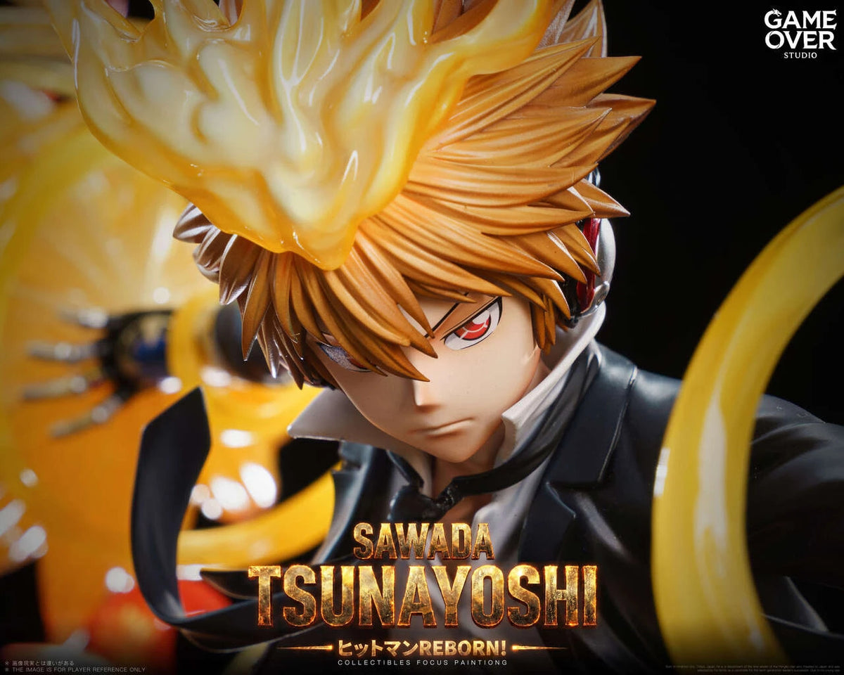 Katekyo Hitman Reborn! - Sawada Tsunayoshi