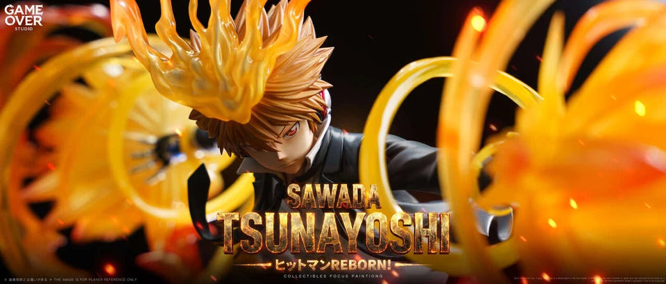 Katekyo Hitman Reborn! - Sawada Tsunayoshi