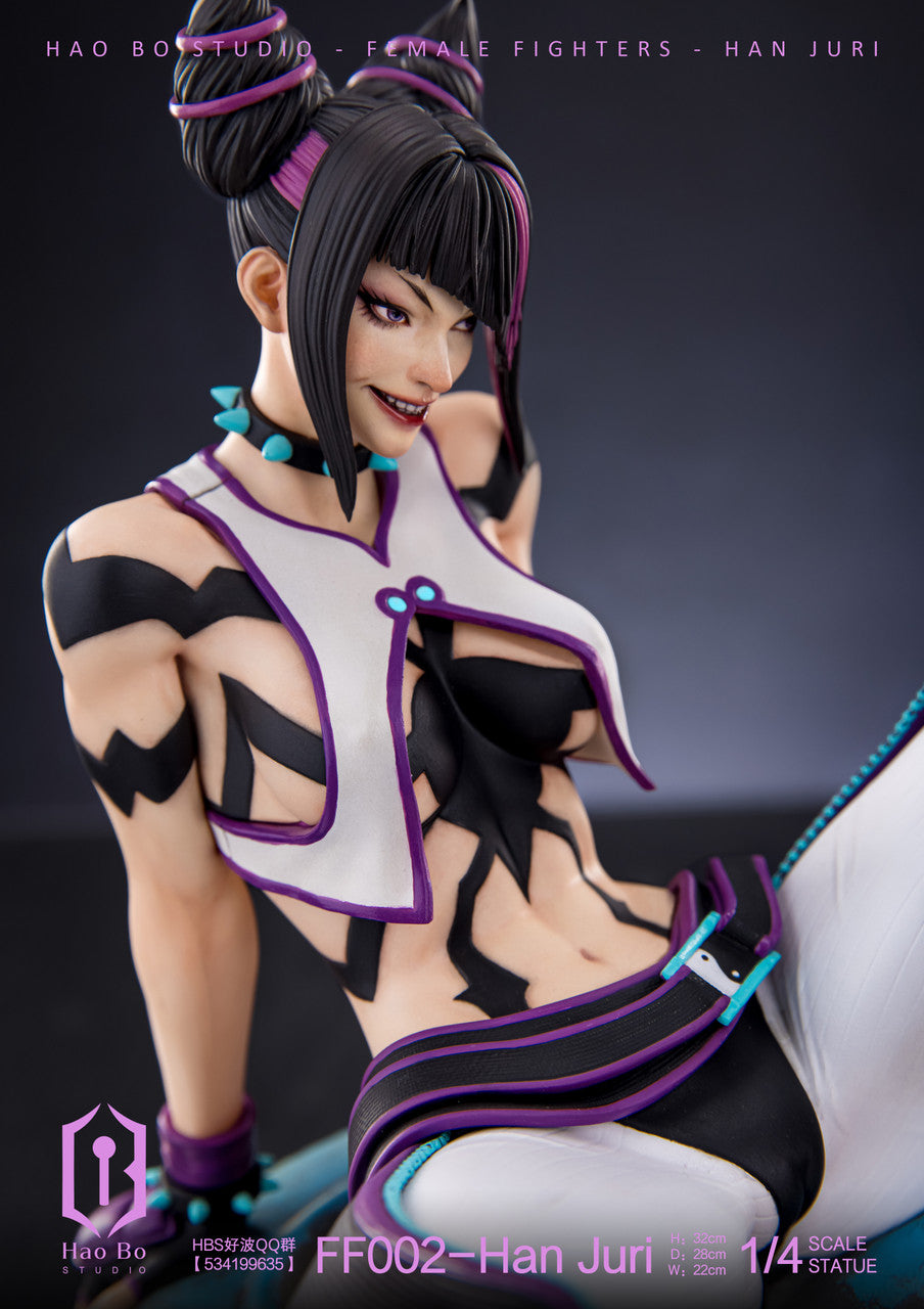 Street Fighter - Han Juri | 1:4 Resin Statue | von Hao Bo Studio