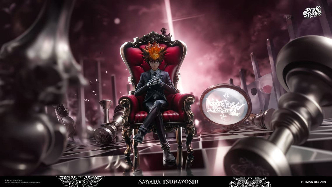 Katekyo Hitman Reborn! - Sawada Tsunayoshi | 1:6 Resin Statue | by Peak Studio