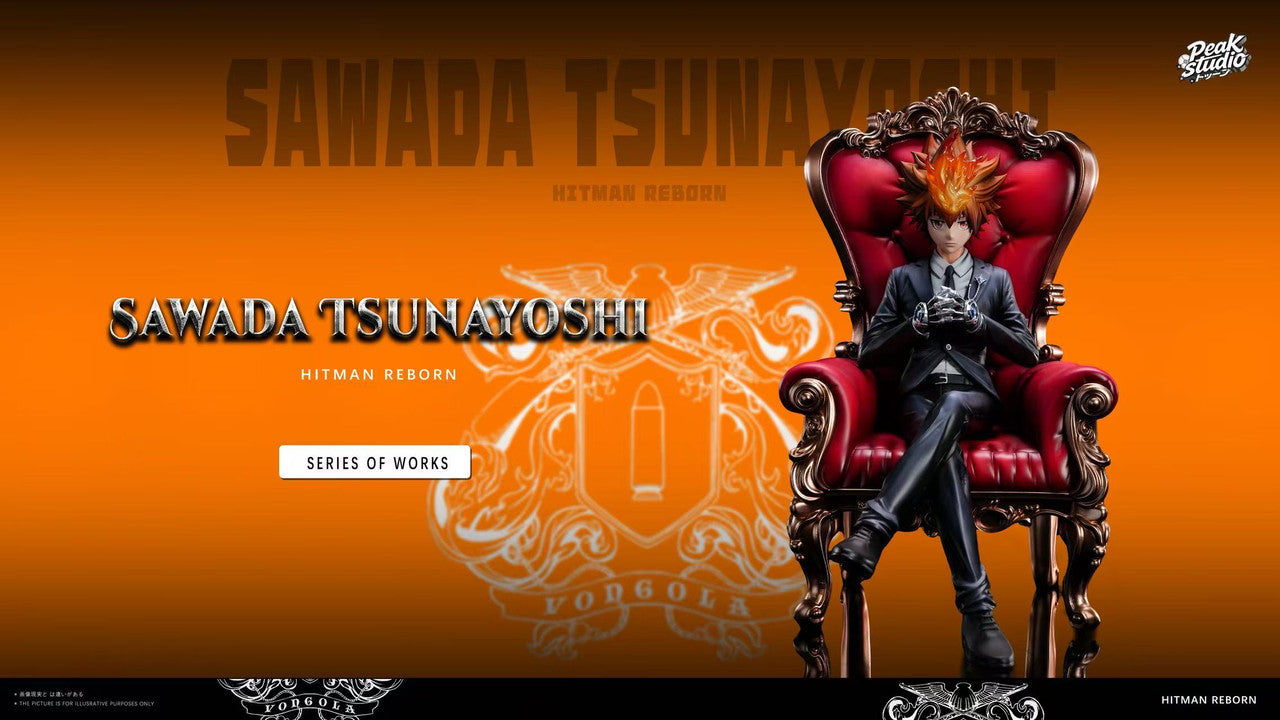 Katekyo Hitman Reborn! - Sawada Tsunayoshi | 1:6 Resin Statue | by Peak Studio