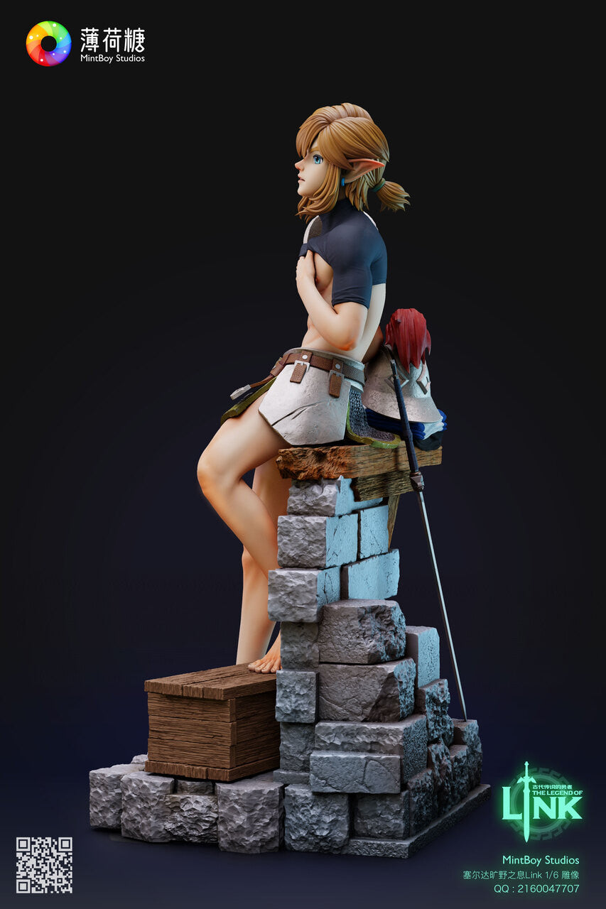 ୨୧ みるくさま 準備中 ୨୧ Legend of Zelda - Training Soldier Link | 1:6 Resin Statue | by