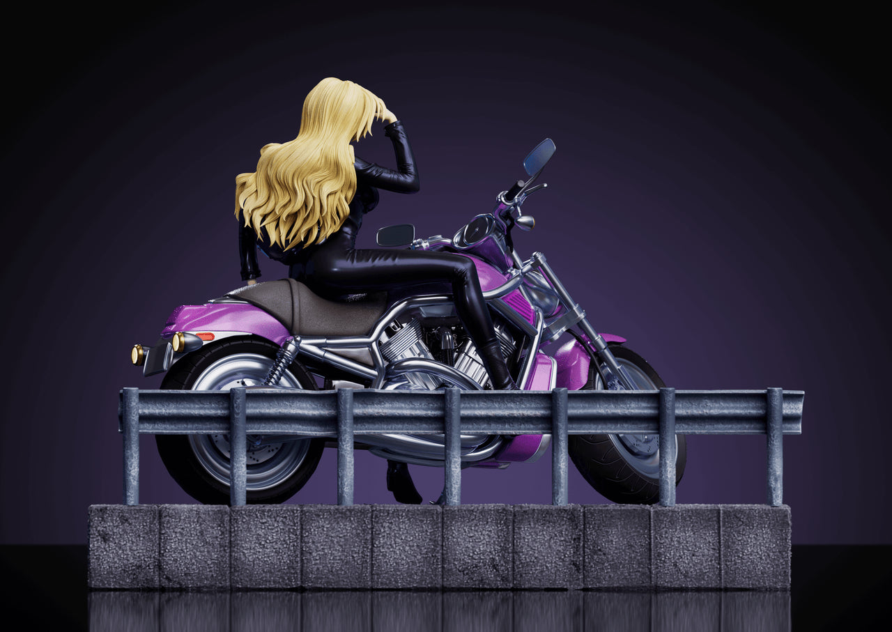 Detective Conan - Vermouth Motorcycle | 1:6 Resin Statue | by Strange Thief Studio