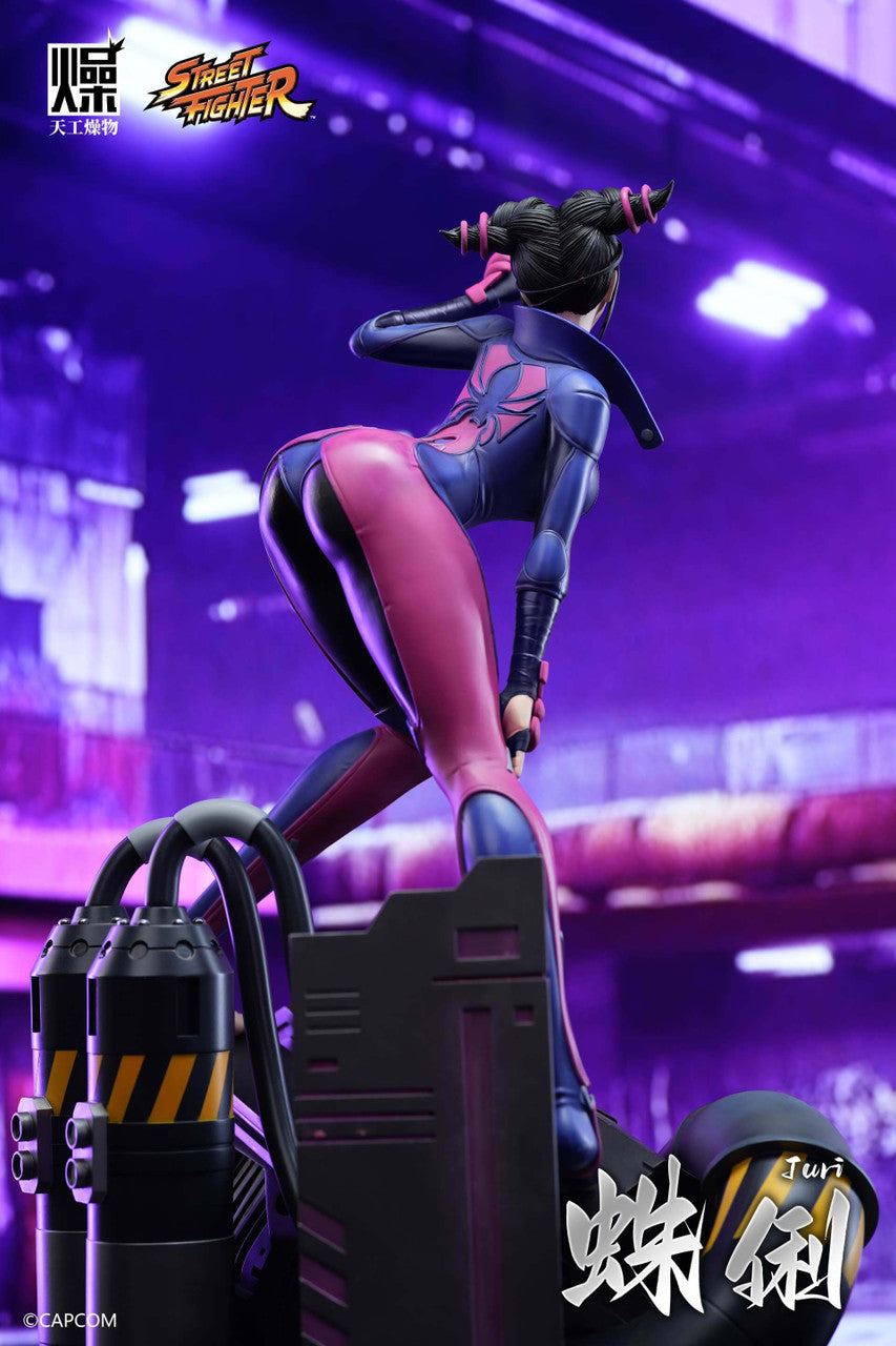 Street Fighter - Han Juri | 1:4 Resin Statue | by TGZW Studio